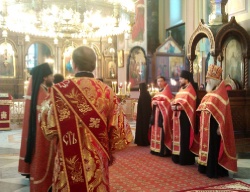 ����� ���� 14